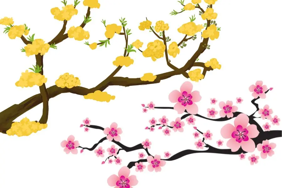 Trang trí tường lớp học bằng hoa mai, hoa đào giả.