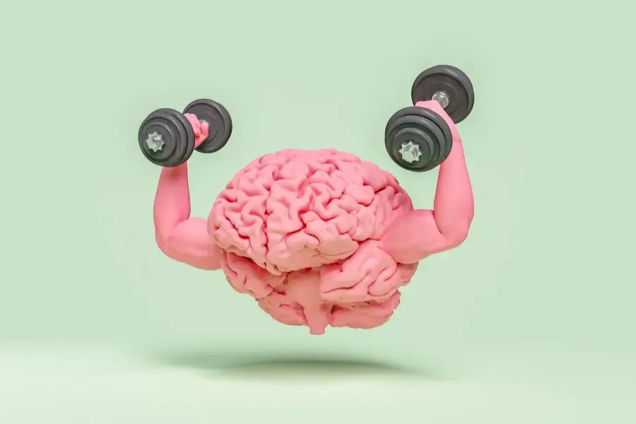Bông cải trắng giúp chống sự suy giảm liên quan đến lão hoá
