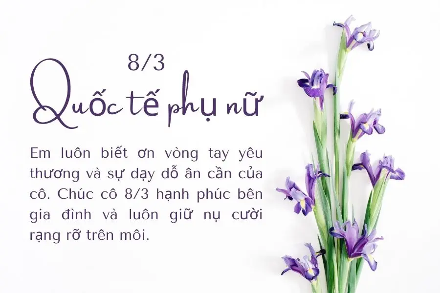 Lời chúc 8/3 cho cô giáo đã từng dạy bạn với lòng biết ơn sâu sắc.
