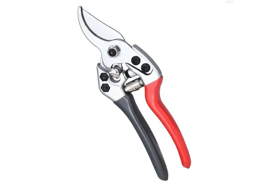 Nên mang bao tay khi cắt tỉa cành để tránh trầy xước