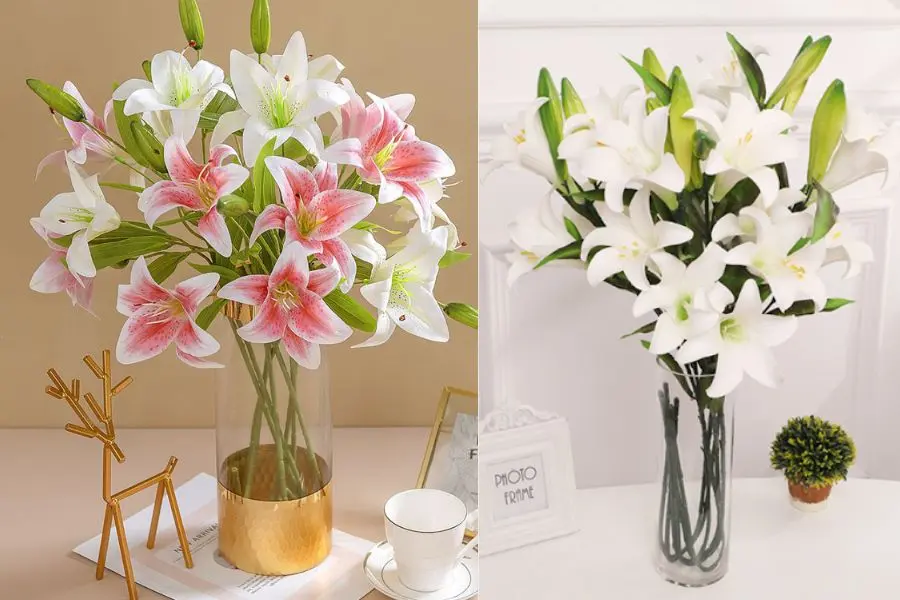 Mỗi loại hoa ly sẽ mang những ý nghĩa riêng.