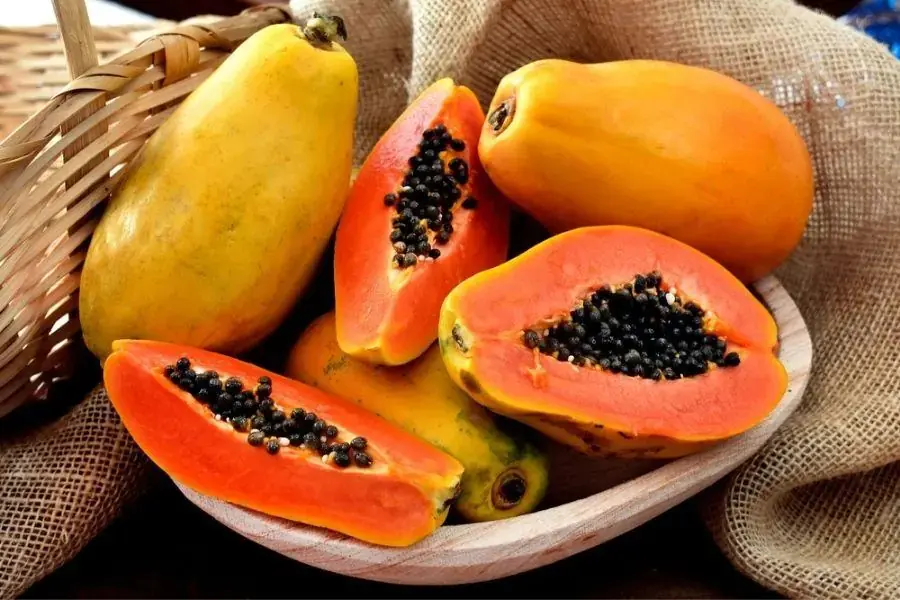 Đu đủ chứa một lượng lớn vitamin cho cơ thể.