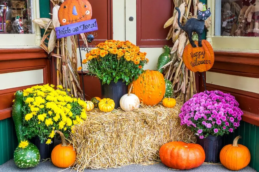Background Halloween với những vật dụng đời thường, quen thuộc.