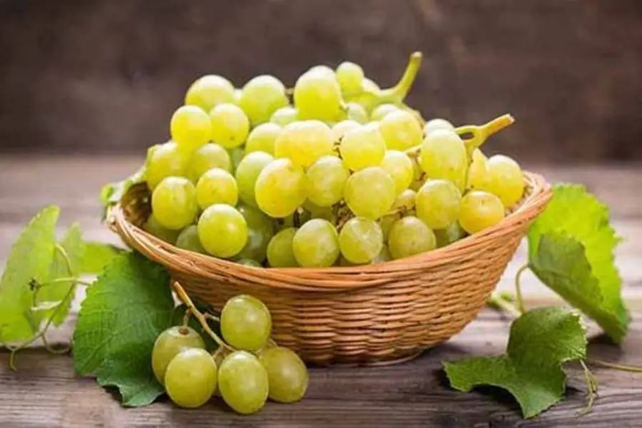 Ăn 12 quả nho vào đầu năm mới sẽ gặp may mắn cả năm.