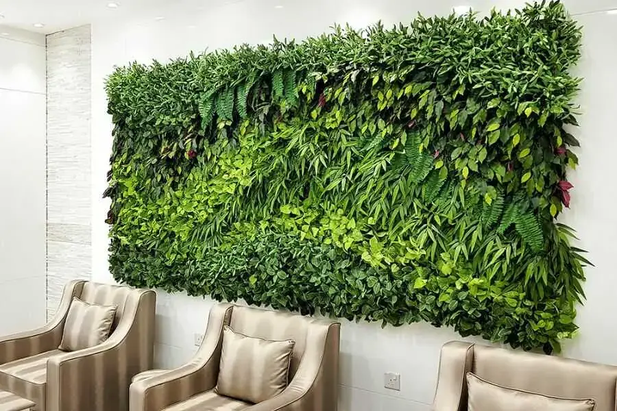 Những loại cây thích hợp để trồng trên tường