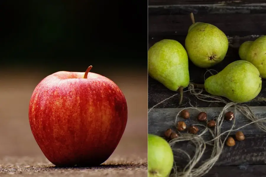 Chọn những quả có kích thước vừa, chắc tay, căng mọng