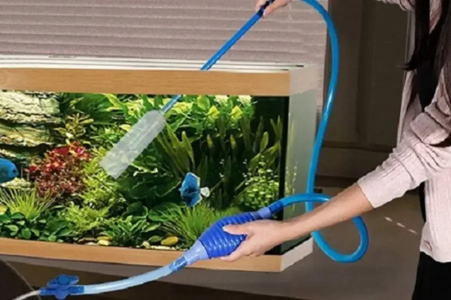 Nên thường xuyên vệ sinh bể cá định kì để đảm bảo môi trường sống của cá và thủy sinh