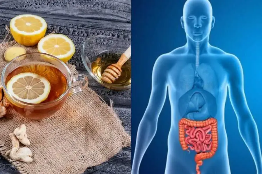 Gừng ngâm mật ong hỗ trợ một hệ tiêu hóa khỏe mạnh