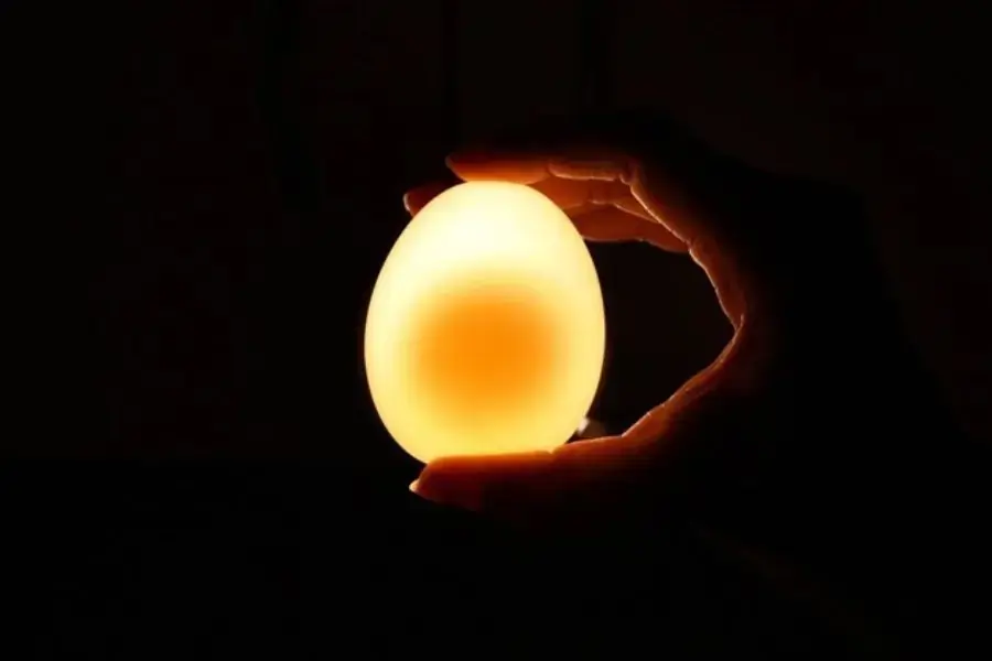 Soi trứng dưới ánh đèn để chọn trứng ngon