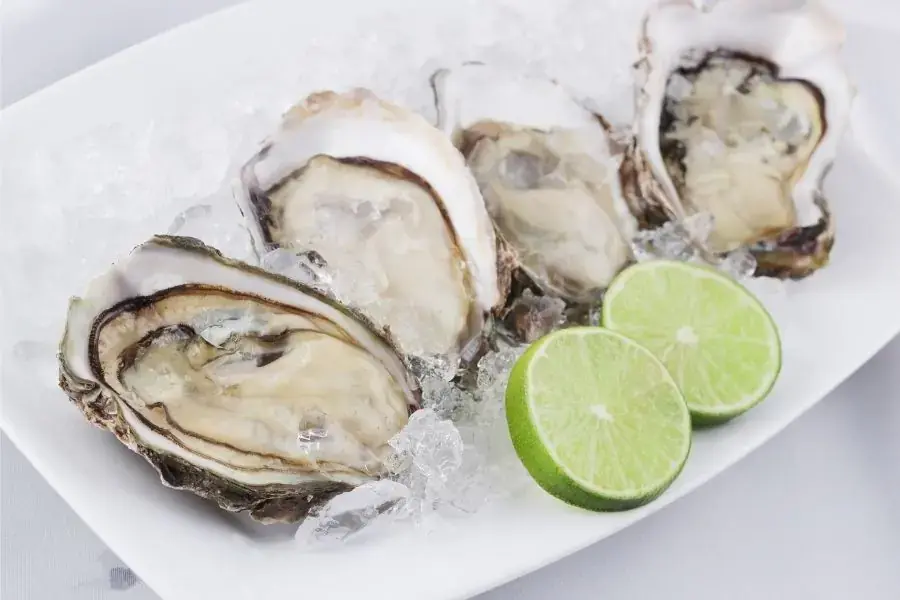 Hàu sống tươ ướp đá