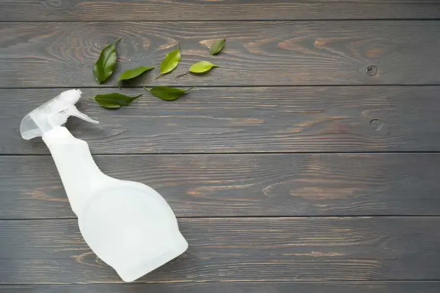 Tẩy keo dính chuột bằng nước lau sàn hữu cơ (nguồn: Shutterstock)