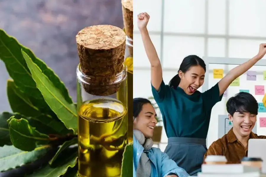 Ngửi tinh dầu nguyệt quế sẽ giúp tinh thần bạn luôn thoải mái.