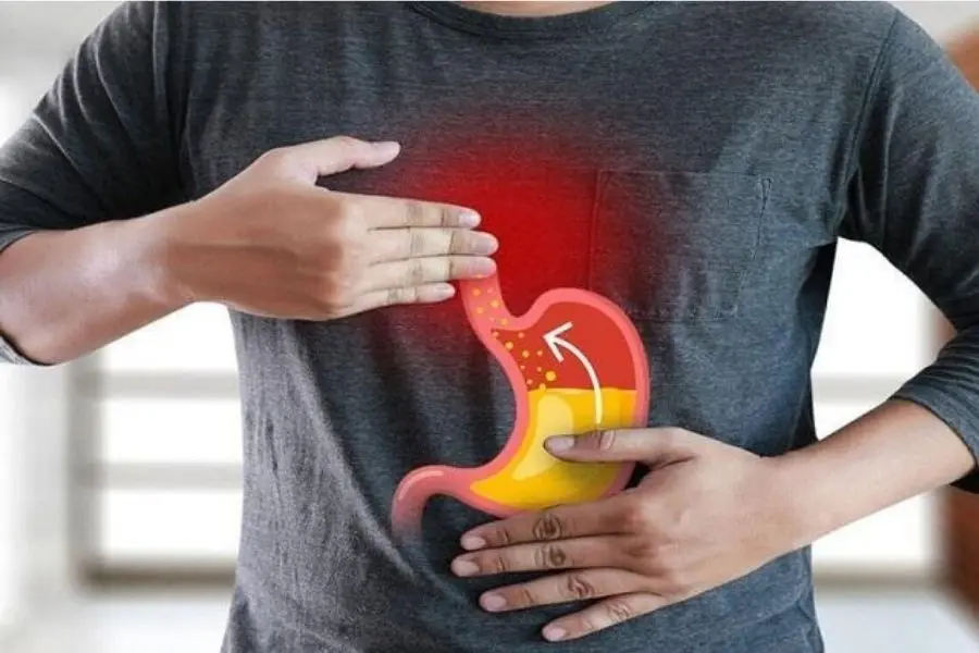 lợi ích chữa bệnh từ việc trồng cây nha đam