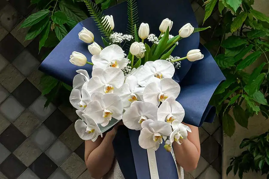 Hoa lan ghi điểm với sự thanh lịch, tinh tế.