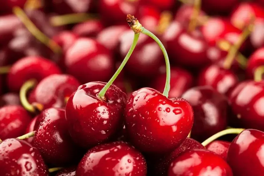 Cherry tươi ngon