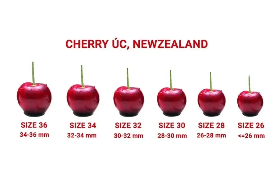 Kích thước cherry Úc, Newzealand