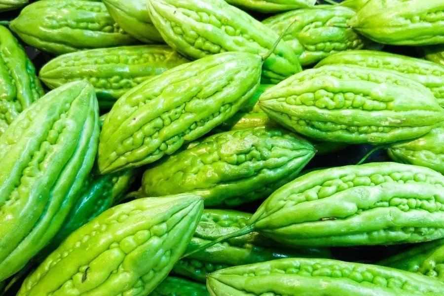 Hãy chọn những trái khổ qua có kích thước vừa phải, vỏ căng sáng không bị giập nát