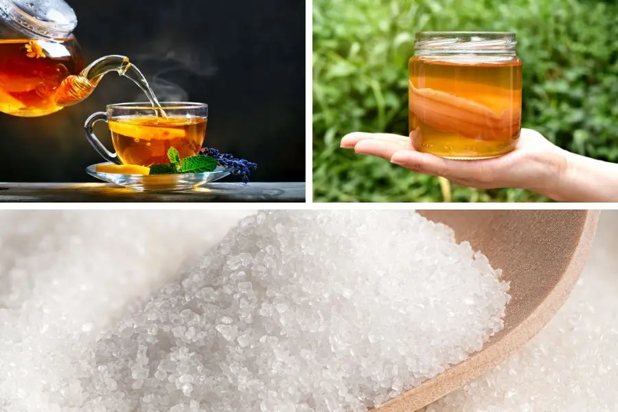 Trà Kombucha gồm nước trà, đường và nấm Scoby.