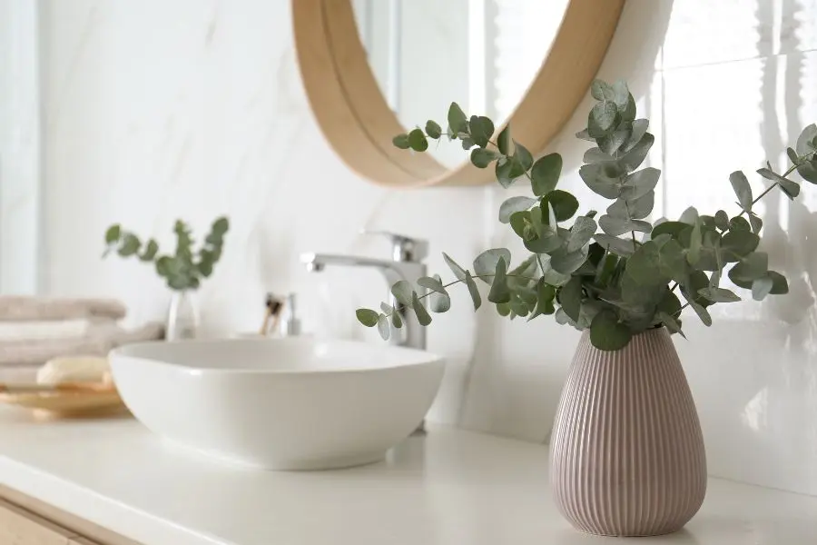 Một bình cây xanh nhỏ giúp tạo điểm nhấn cho phòng tắm.