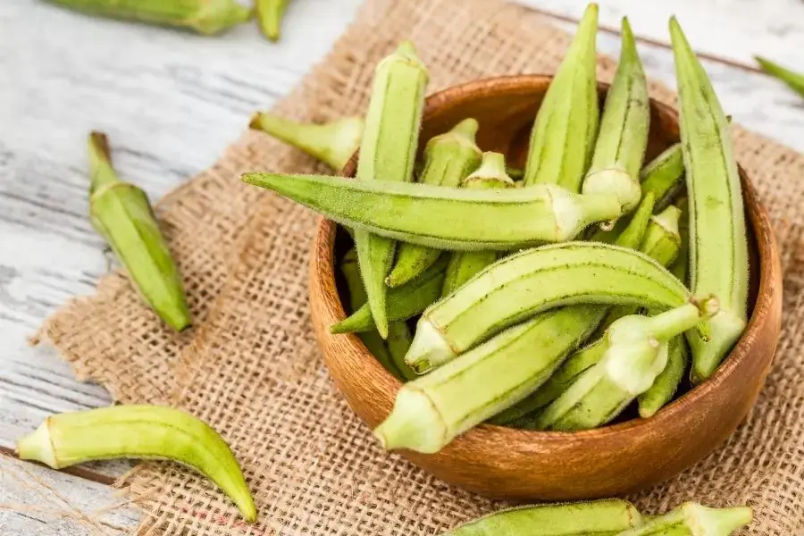 Lectin trong đậu bắp có thể ức chế sự phát triển của tế bào ung thư ở người