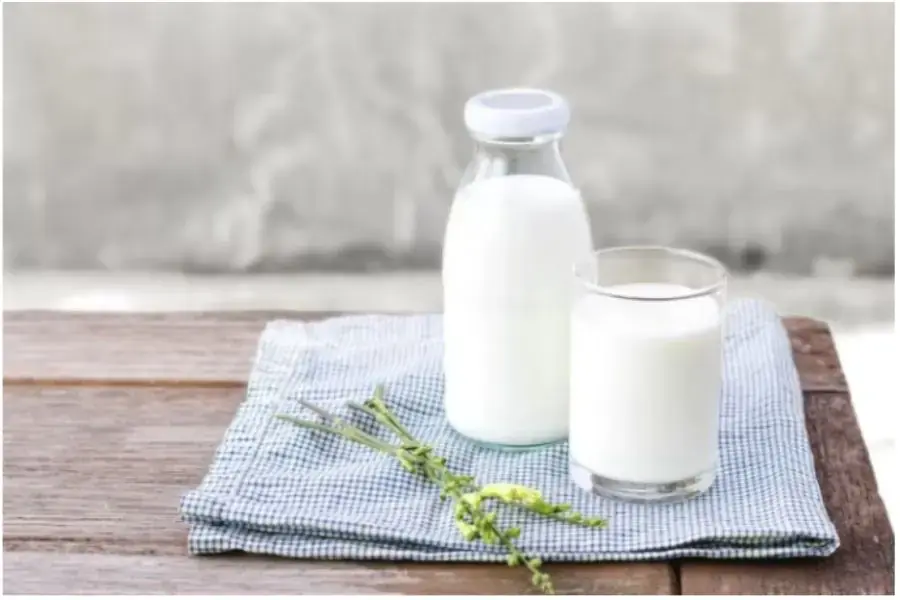 Ngoài việc là thực phẩm bổ sung chất dinh dưỡng, sữa tươi còn giúp tẩy trắng áo rất hiệu quả