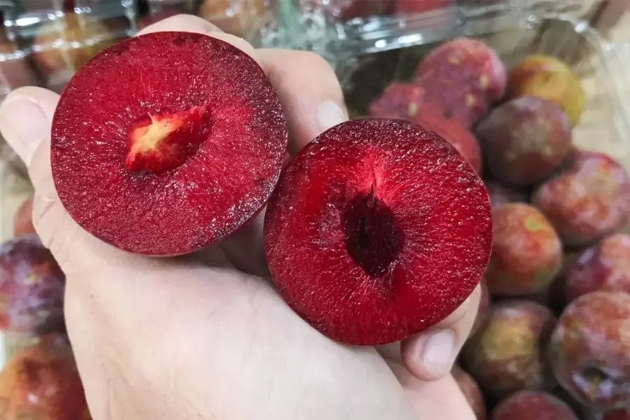 Mận Hà Nội tươi ngon ( Nguồn: Meta.vn)