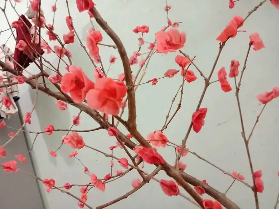 Cây đào là hình ảnh vô cùng thích hợp để trang trí lớp học Tết thêm xinh xắn.