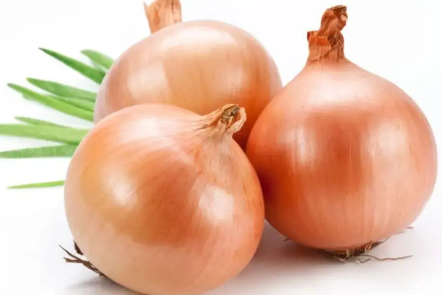 Hành tây với vị ngọt thanh kích thích vị giác của người thưởng thức