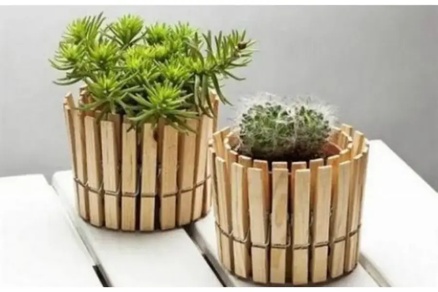 Trang trí chậu cảnh bằng kẹp quần áo