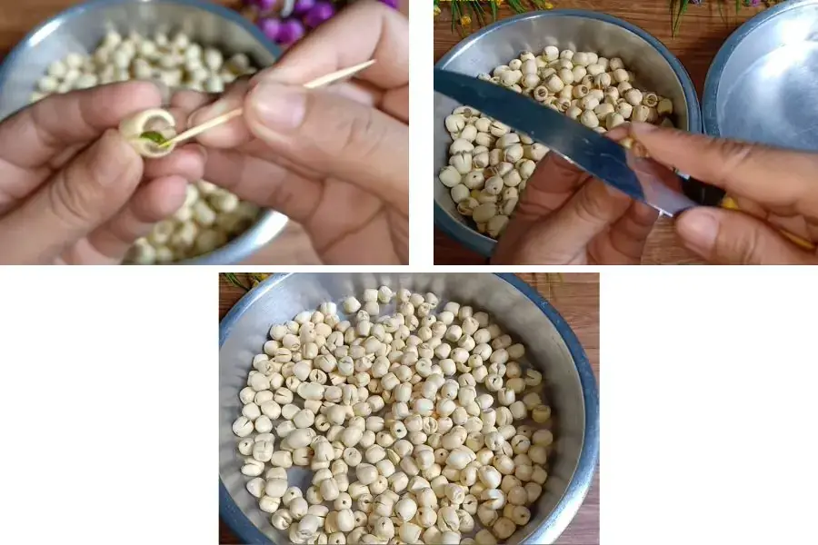 Sơ chế hạt sen.