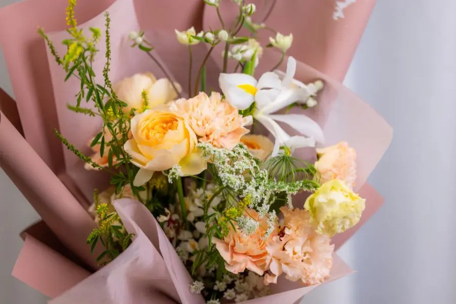 Mẫu hoa cẩm chướng vàng - Sự ái mộ.
