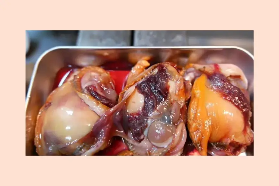 Bảo quản sò huyết lâu hơn bằng cách lấy thịt ra ngoài
