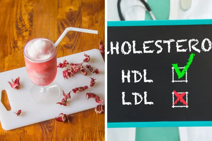Các chế phẩm từ cây Atiso đỏ làm tăng Cholesterol tốt và giảm Cholesterol xấu.