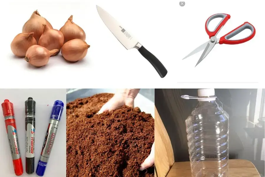 Chuẩn bị nguyên liệu và dụng cụ trồng hành
