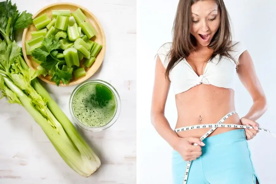 Uống nước ép cần tây giảm cân, đốt cháy mỡ thừa trong cơ thể