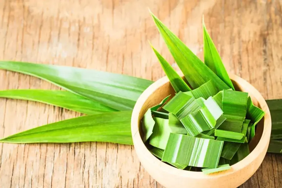 Xử lý mùi hôi nhà mới xây bằng lá dứa hoặc lá nếp