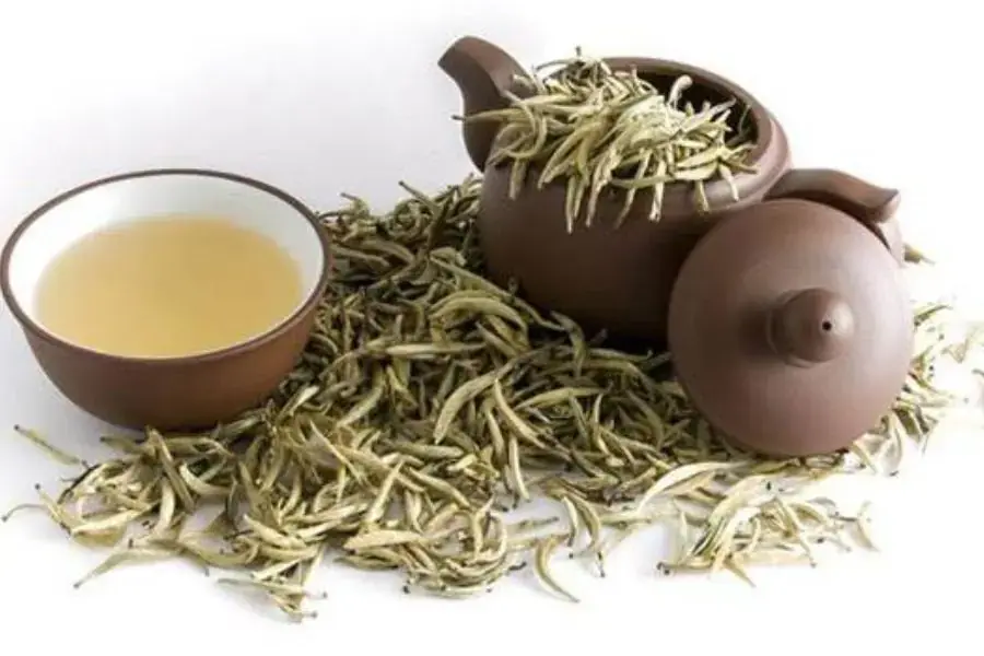 Trà trắng giảm cân, thanh lọc cơ thể và bảo vệ xương khớp chắc khỏe