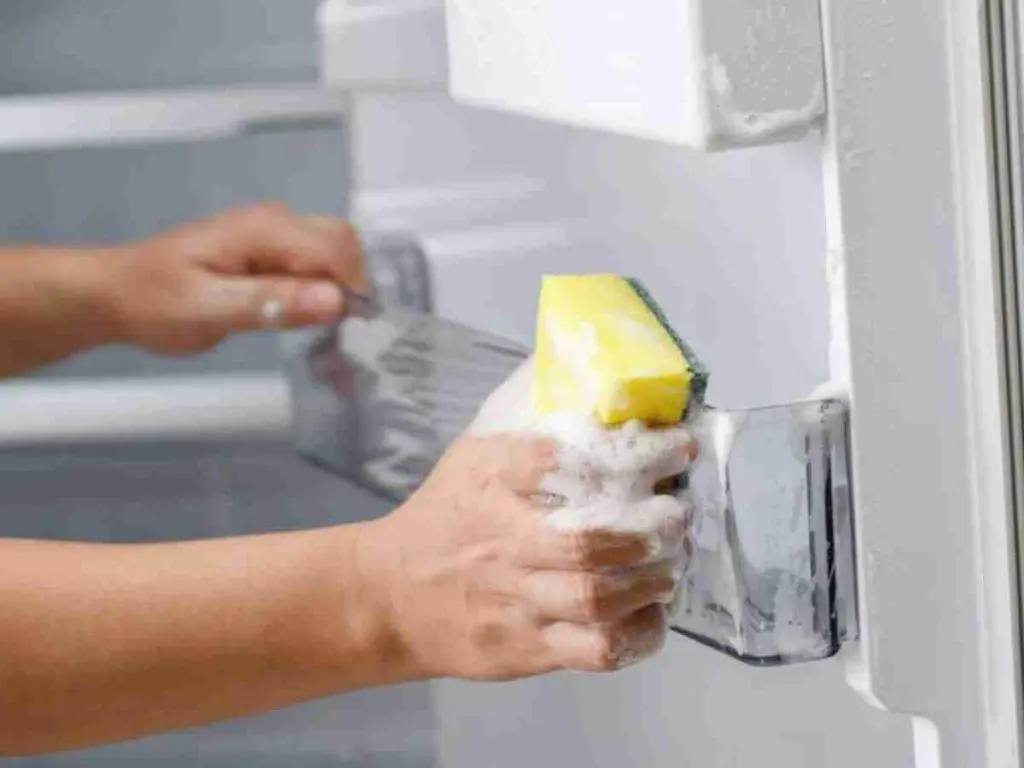 cara membersihkan body kulkas dengan sponge
