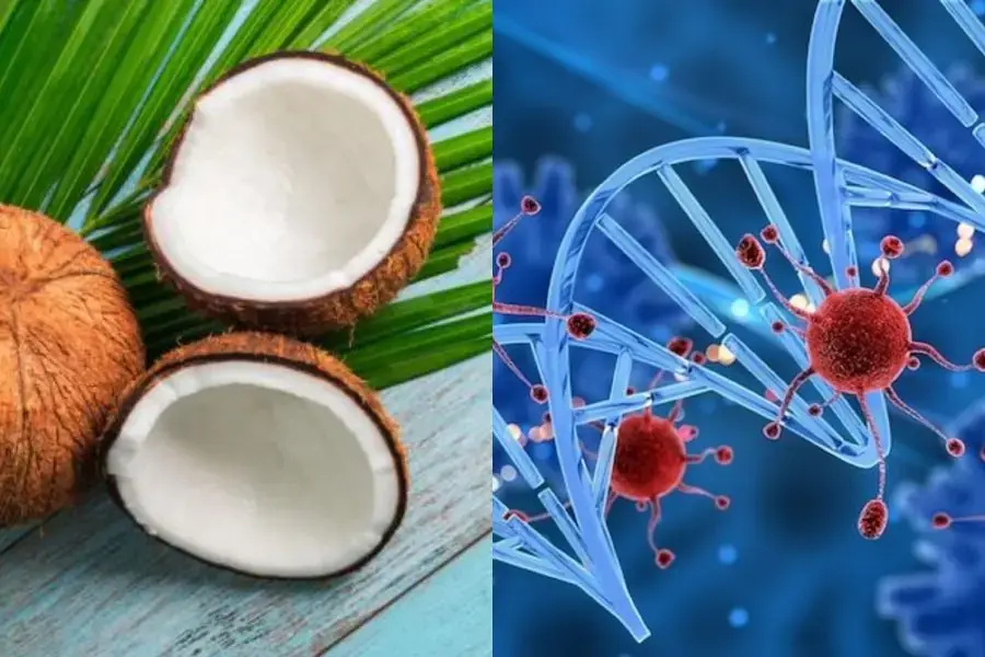 Nguy cơ mắc ung thư sẽ được giảm thiểu tối đa nhờ dưỡng chất trong dừa.