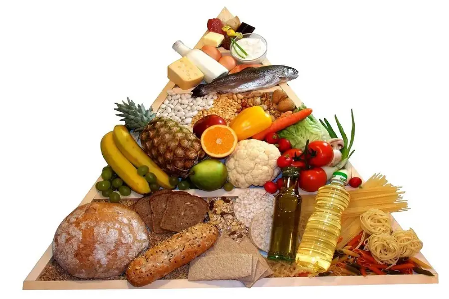 Những thành phần của tháp thực phẩm