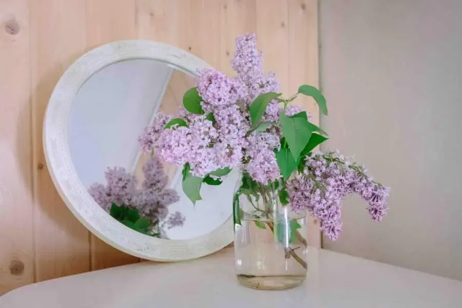 Cắm hoa bằng bình thủy tinh đẹp mắt để trang trí.