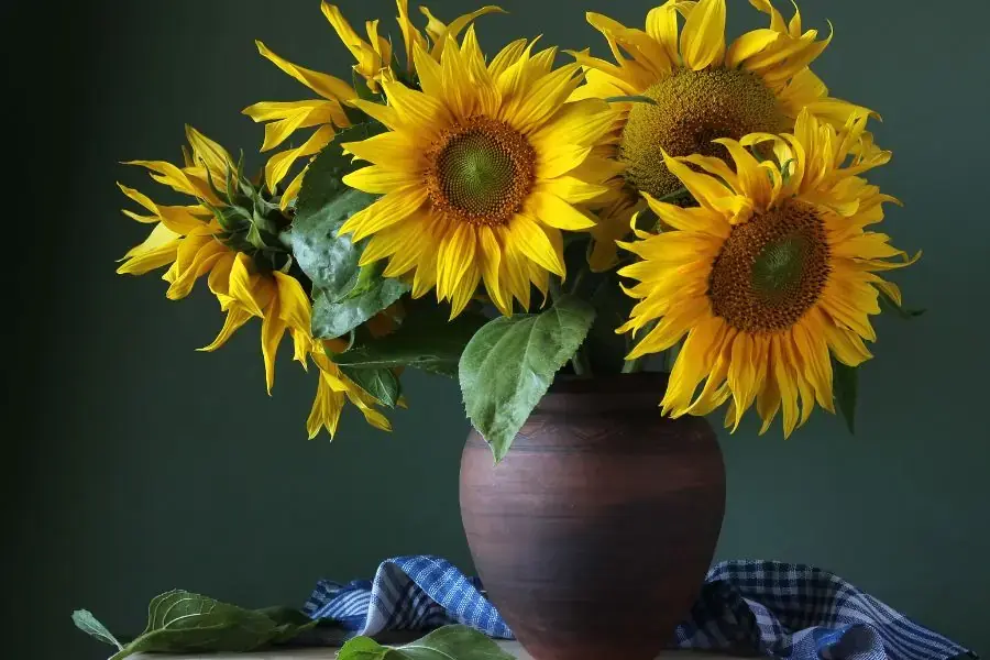 Bình hoa hướng dương tối giản
