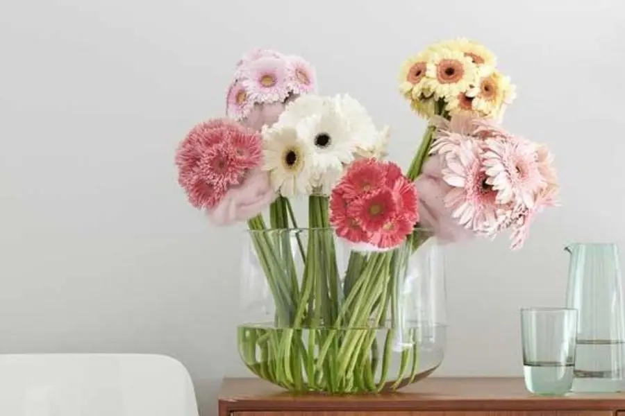 Người mệnh thuỷ nên chọn hoa có màu xanh nước biển, đen, trắng.