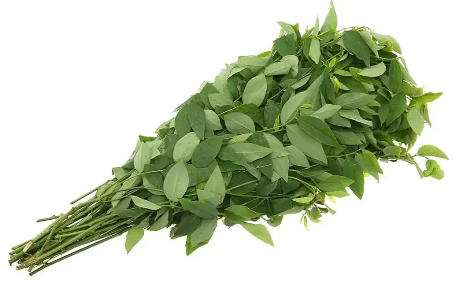 Ăn rau ngót giúp hỗ trợ hệ tiêu hóa và ngăn ngừa các bệnh về tim mạch.