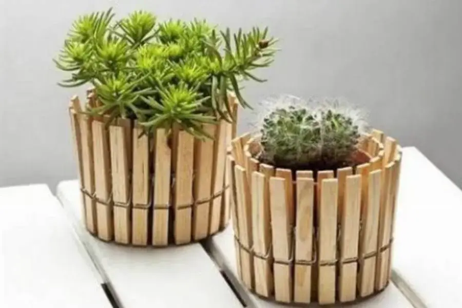 Các kẹp phơi quần áo cũng trở nên hữu ích khi được dùng trang trí chậu cây
