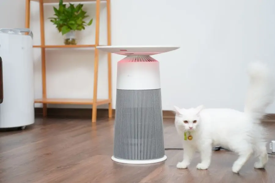 Sử dụng máy lọc không khí giúp ngăn chặn mèo hắt xì nhiều.