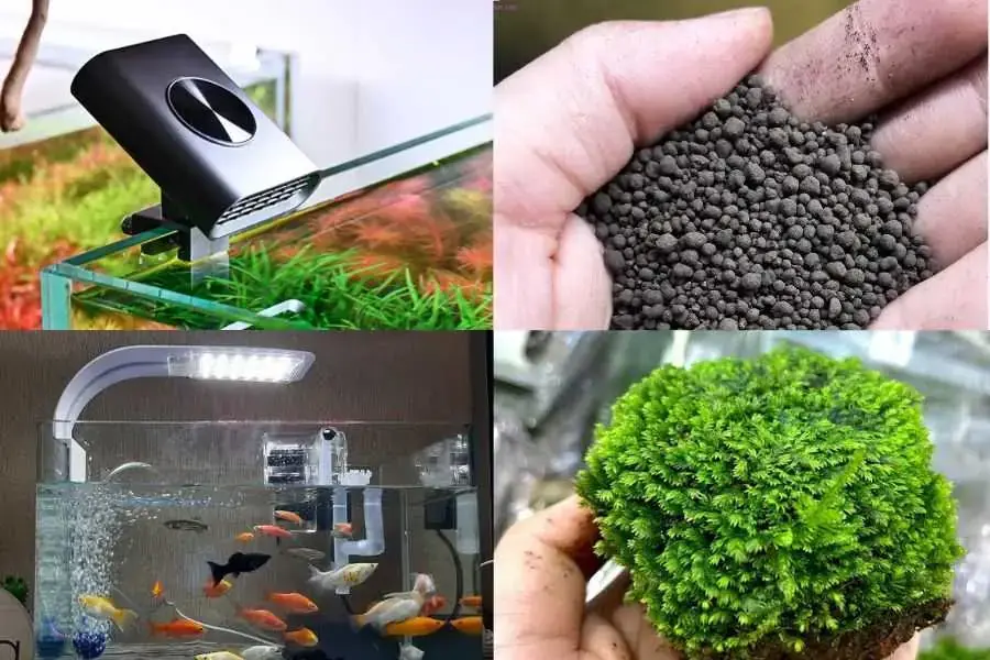Chuẩn bị đầy đủ dụng cụ cần thiết cho 1 chậu cá thủy sinh.
