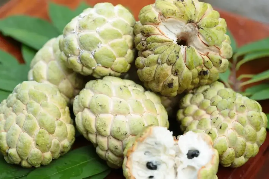 Vitamin B6 và kali dồi dào trong quả na có tác dụng giảm căng thẳng, mệt mỏi.