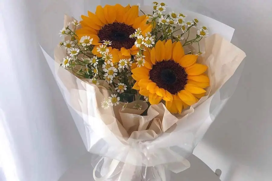 Bó hoa hướng dương kết hợp cúc họa mi rất xinh xắn.
