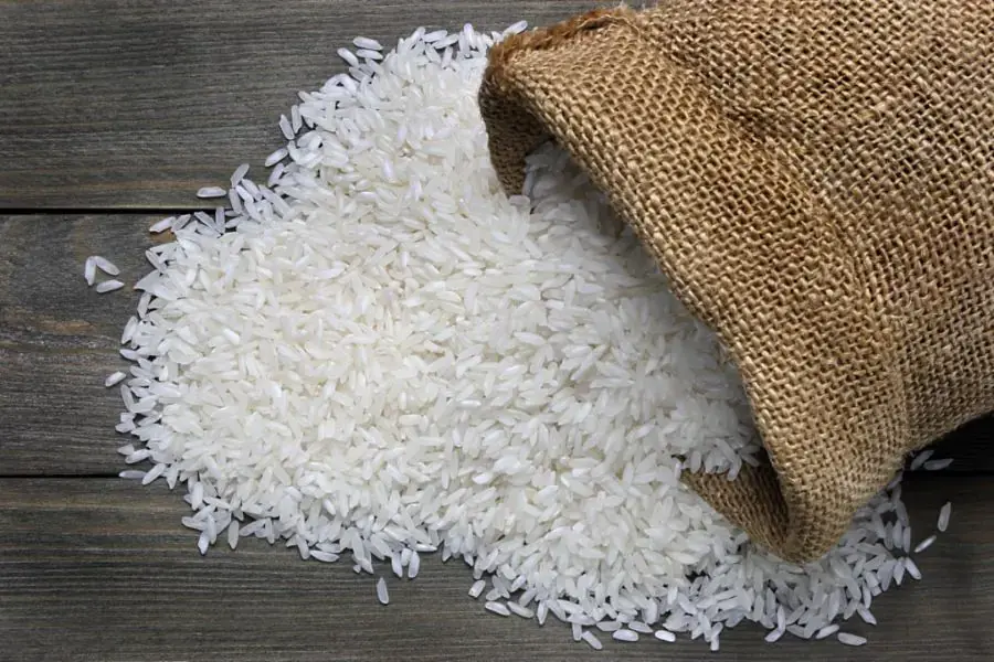 Bạn nên đổ gạo vào thùng đựng đã được diệt khuẩn